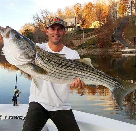 biggest fish in smith mountain lake|smith mountain lake striper report.